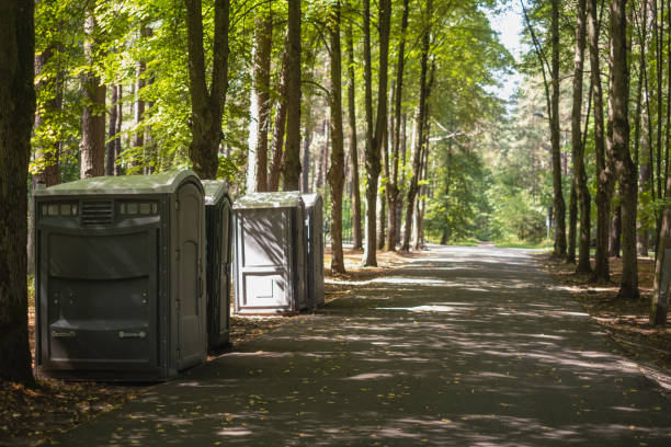 Best Best portable toilet rental  in Shannondale, WV